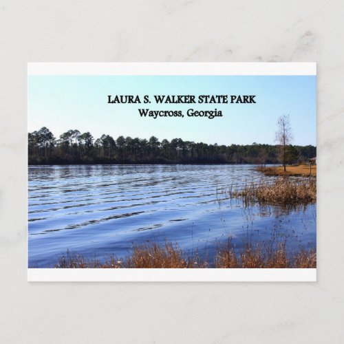 LAURA S WALKER STATE PARK _ Waycross Georgia Postcard