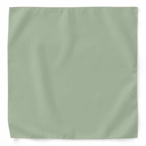 Laurel Green Solid Color Bandana