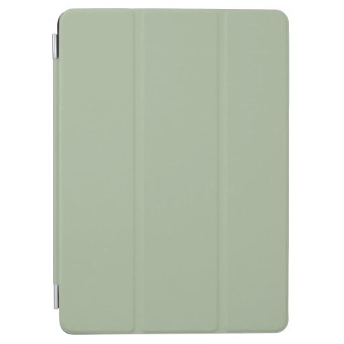Laurel Green Solid Color iPad Air Cover