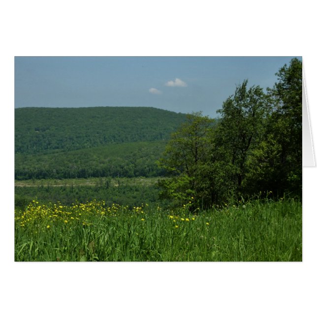 Laurel Highlands Pennsylvania Summer Photography Cards (Front Horizontal)