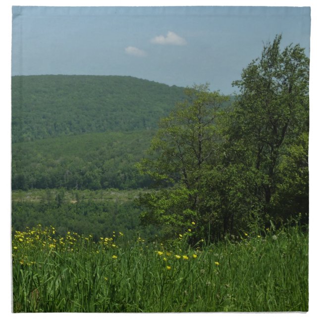 Laurel Highlands Pennsylvania Summer Photography Cloth Napkin (Front)