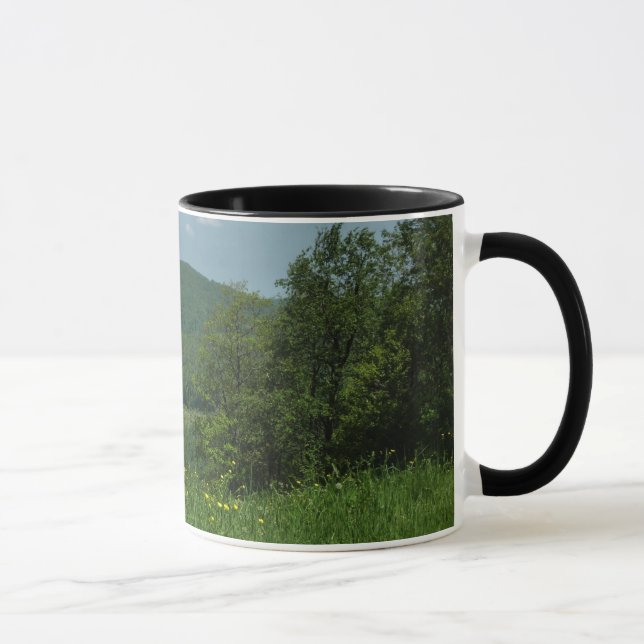 Laurel Highlands Pennsylvania Summer Photography Mug (Right)