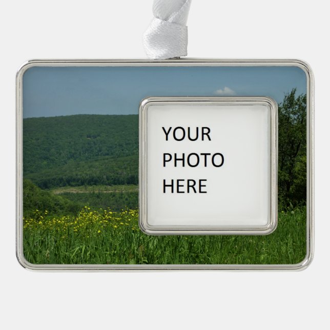 Laurel Highlands Pennsylvania Summer Photography Ornament (Front)