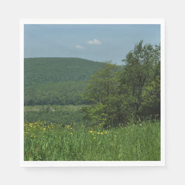 Laurel Highlands Pennsylvania Summer Photography Paper Napkins (Front)