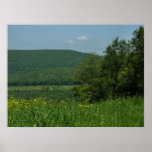 Laurel Highlands Pennsylvania Summer Photography Poster
