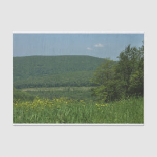 Laurel Highlands Pennsylvania Summer Photography Tissue Paper