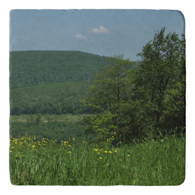 Laurel Highlands Pennsylvania Summer Photography Trivet (Front)