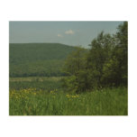 Laurel Highlands Pennsylvania Summer Photography Wood Wall Decor