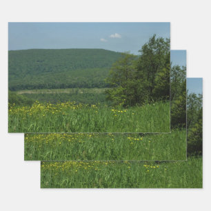 Laurel Highlands Pennsylvania Summer Photography Wrapping Paper Sheets