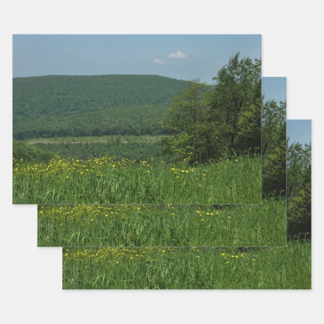 Laurel Highlands Pennsylvania Summer Photography Wrapping Paper Sheets (Set)