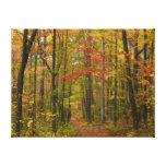 Laurel Hill Trail in Fall Canvas Print