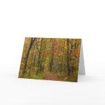 Laurel Hill Trail in Fall Card