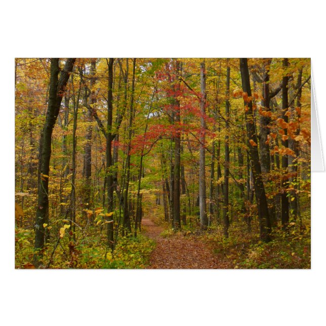 Laurel Hill Trail in Fall Cards (Front Horizontal)