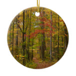 Laurel Hill Trail in Fall Ceramic Ornament