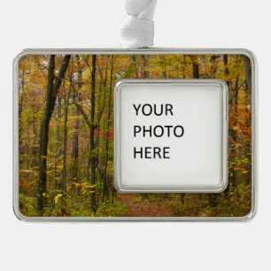 Laurel Hill Trail in Fall Christmas Ornament