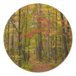 Laurel Hill Trail in Fall Classic Round Sticker