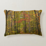 Laurel Hill Trail in Fall Decorative Pillow