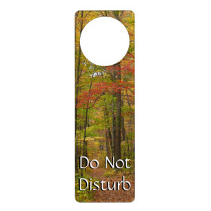 Laurel Hill Trail in Fall Door Hanger