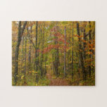 Laurel Hill Trail in Fall Jigsaw Puzzle