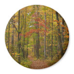 Laurel Hill Trail in Fall Magnet