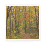 Laurel Hill Trail in Fall Paper Napkins