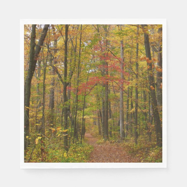 Laurel Hill Trail in Fall Paper Napkins (Front)