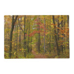 Laurel Hill Trail in Fall Placemat