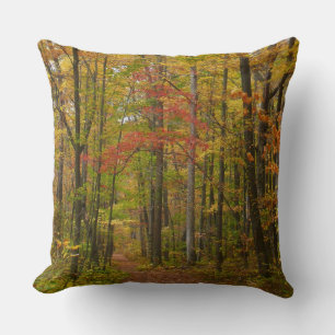 Laurel Hill Trail in Fall Throw Pillow