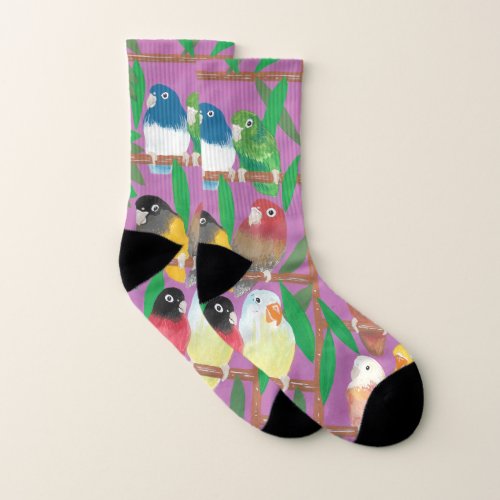 Lauren Rosenberg Original Parakeet Socks