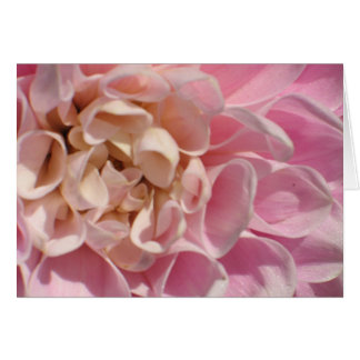 Laurie's Dahlia Cards