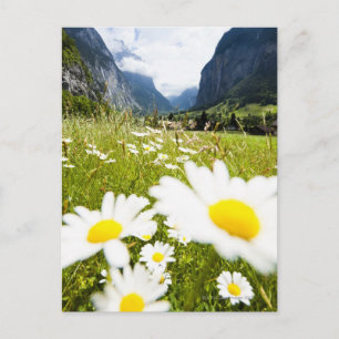 Lauterbrunnen, Switzerland Postcard