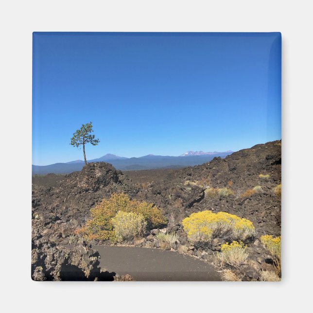 Lava Butte Trail, Oregon Magnet (Front)