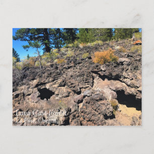 Lava Cast Forest, Oregon Postcard