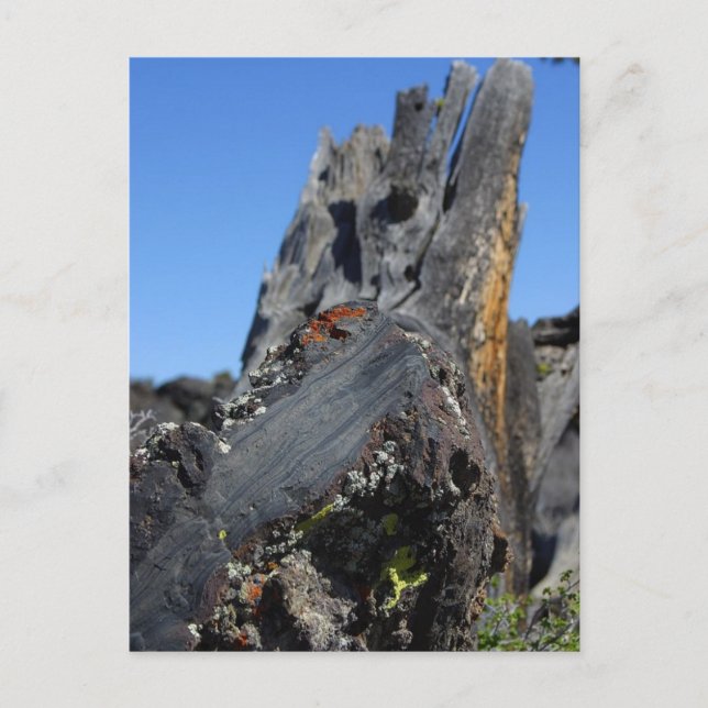 Lava Crators Postcard (Front)