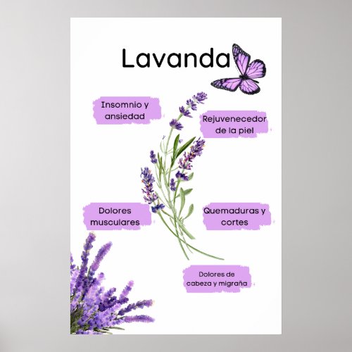 Lavanda and its benefits in Spanish Poster