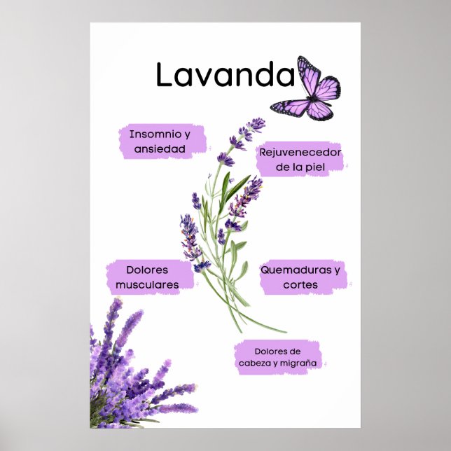 Lavanda and its benefits in Spanish Poster (Front)