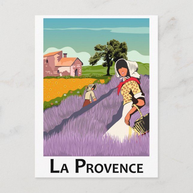 Lavanda Field in Provence, France Postcard (Front)