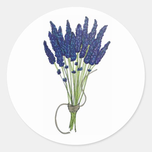 Lavandula Lavender Bunch Herb Purple Flower Garden Classic Round Sticker