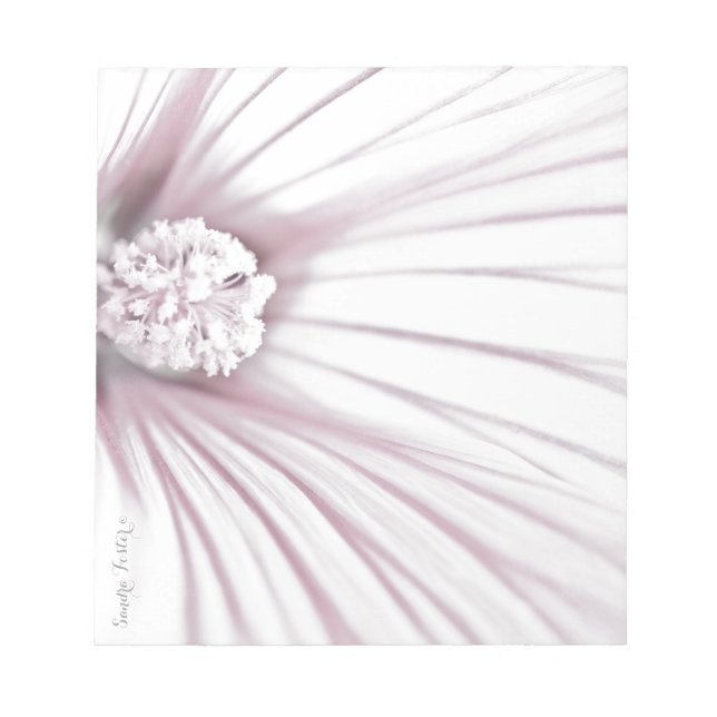 Lavatera Flower Macro Notepad (Front)
