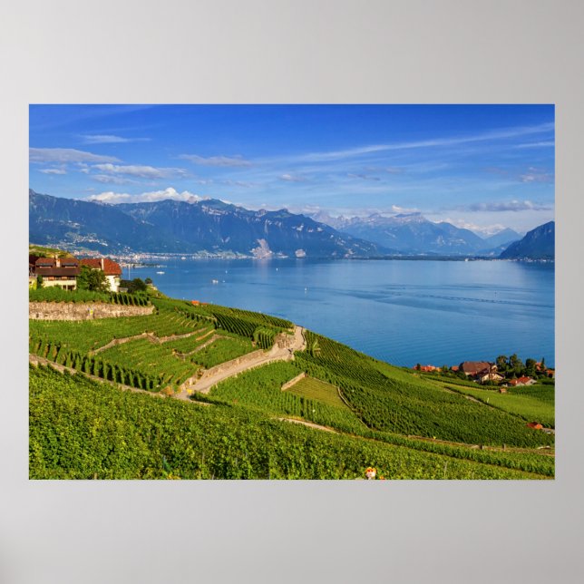 Lavaux region, Vaud, Switzerland Poster (Front)