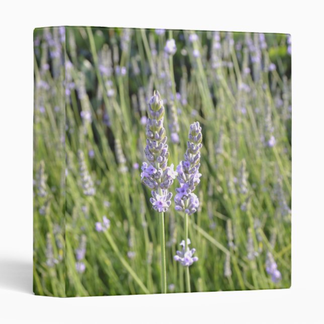Lavendar Flowers Field Binder (Front/Spine)