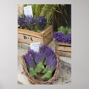 Lavendar for sale, Provence, France Poster
