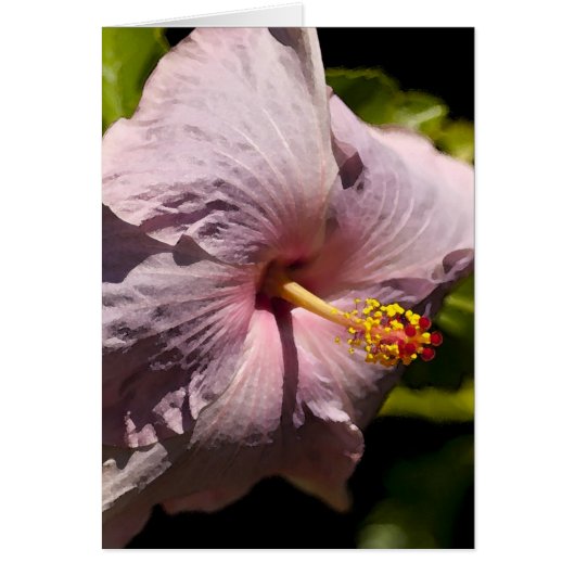 Lavendar Hibiscus Cards (Front)