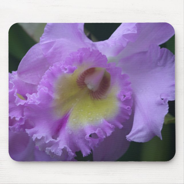 Lavendar Iris Mousepad (Front)