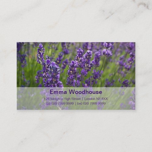 Lavendar | Lavendel Business Card Templates