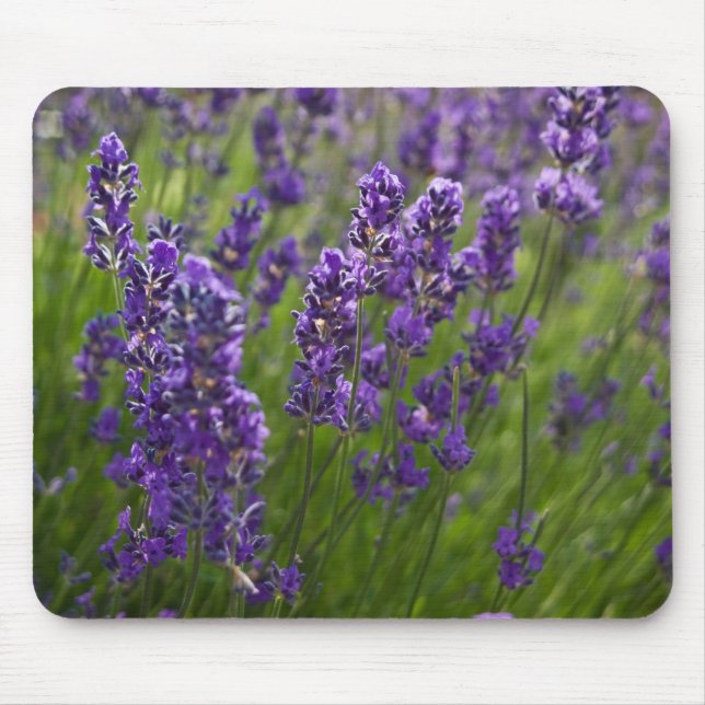 Lavendar | Lavendel Mouse Pad (Front)