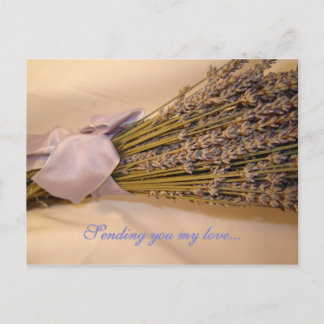 Lavendar Postcard