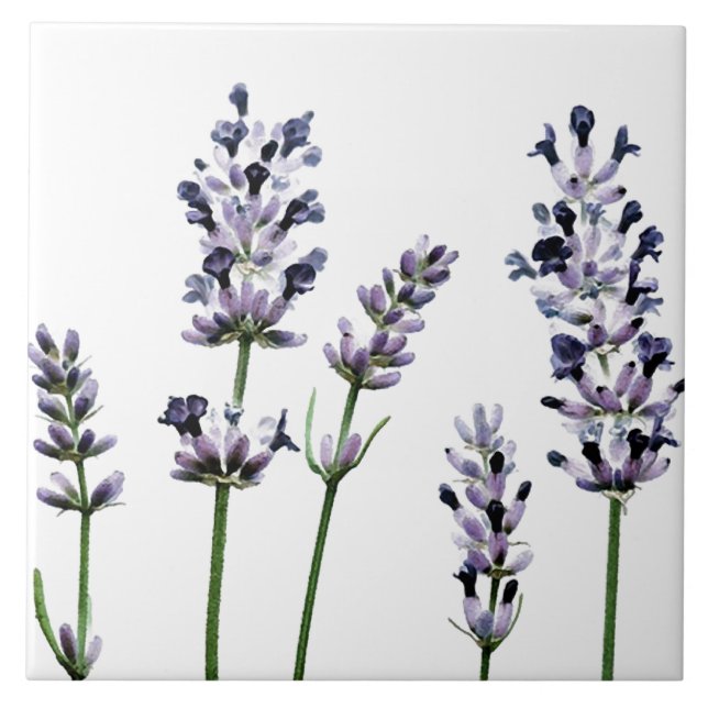 Lavendar | Purple Floral Flowers Pastel Ceramic Tile (Front)