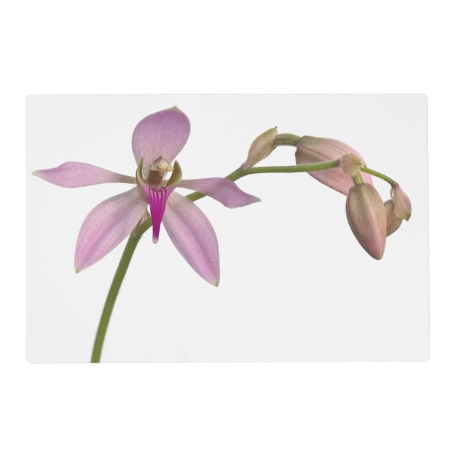 Lavendar Purple Orchid Placemat (Front)