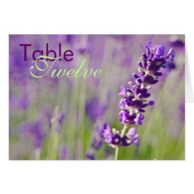 Lavendar • Table Card (Front Horizontal)